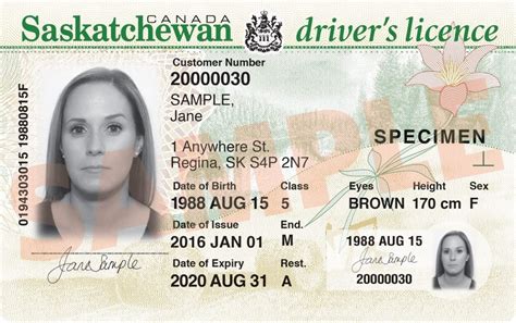 Aug 6, 2014. . Penalty for driving alone with learners permit in saskatchewan